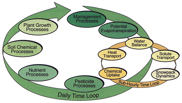 Circular flow chart of RZWQM processes.