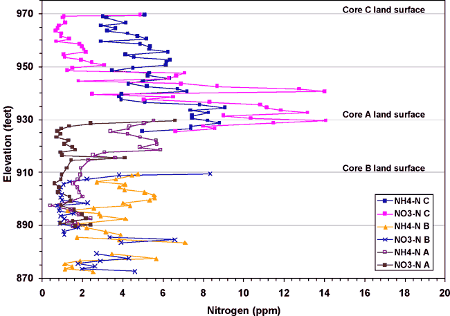 Nitrogen content from cores.