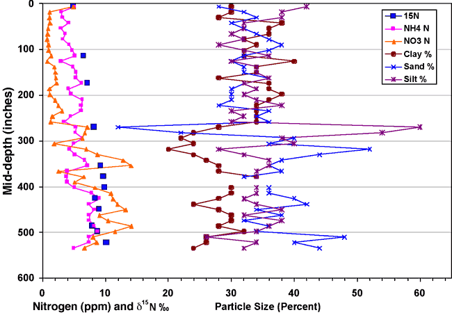 Nitrogen content and particle size from cores at various depths.