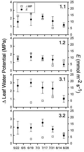 Changes in leaf water potential.