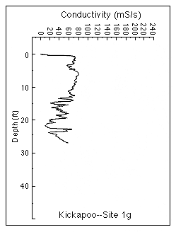 Conductivity log 1g