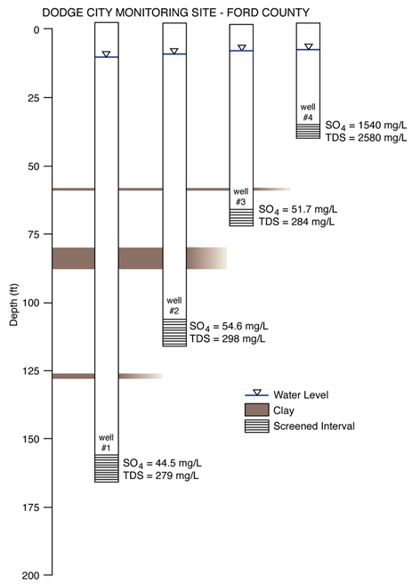 Schematic representation of the observation wells at the Dodge City site.