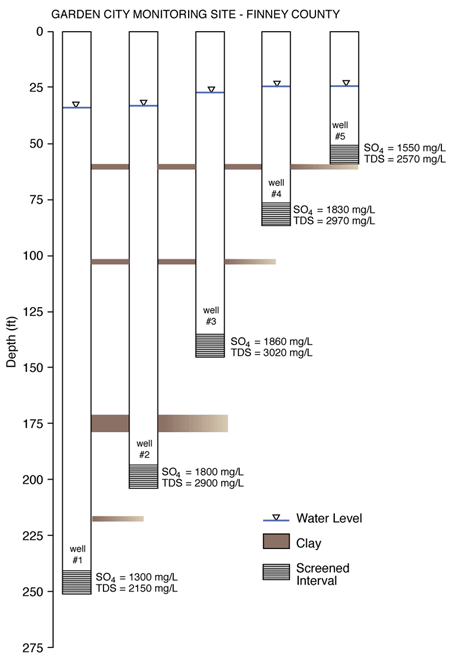 Schematic representation of the observation wells at the Garden City site.