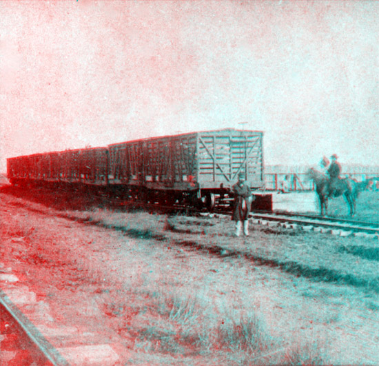 1867 Photo of McCoy's Stockyard, Abilene, Kansas