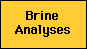Brine Analyses Search