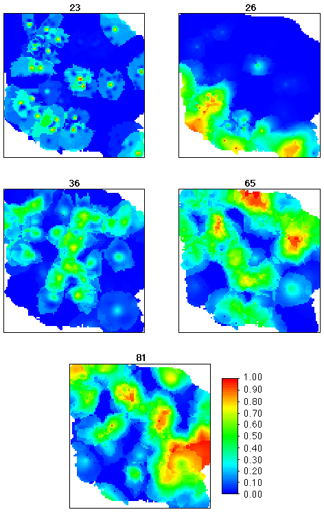 color map