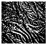 bitmap of topographic data