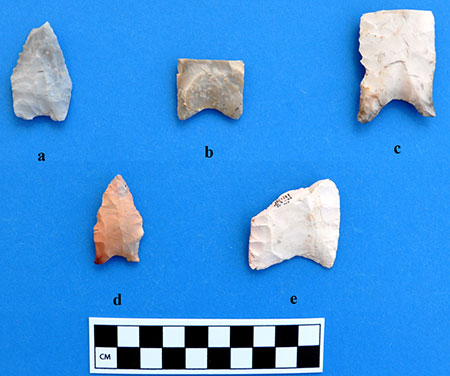 Diagnostic projectile points recovered during excavations at Spring Valley.