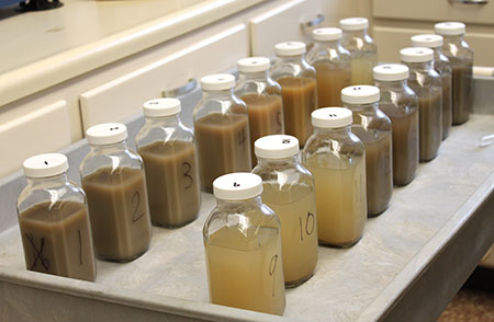 Several bottles of water filled with various amounts of sediment.