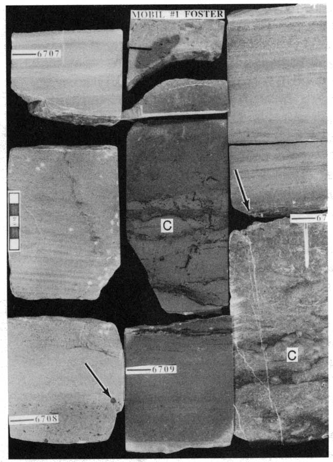 Black and white image of three core sections.