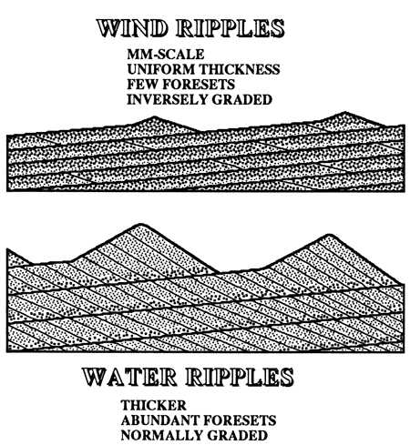 Two diagrams showing differences in ripples between waind- and water-driven ripples.