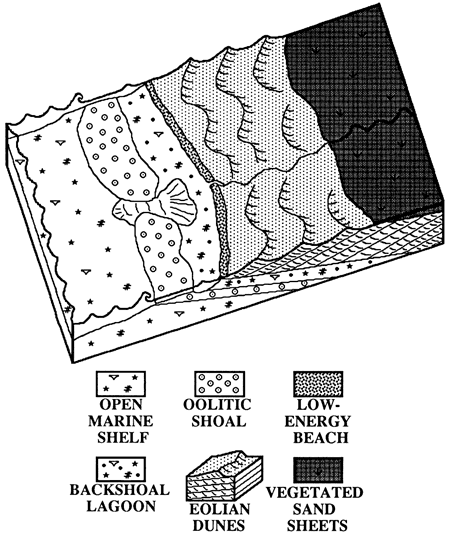 Block diagram showing facies for upper St. Louis and Ste. Genevieve strata.
