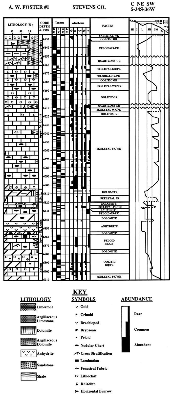 Lithology, texture, allochems, facies, and depositional environments of Mobil No. 1 Foster.