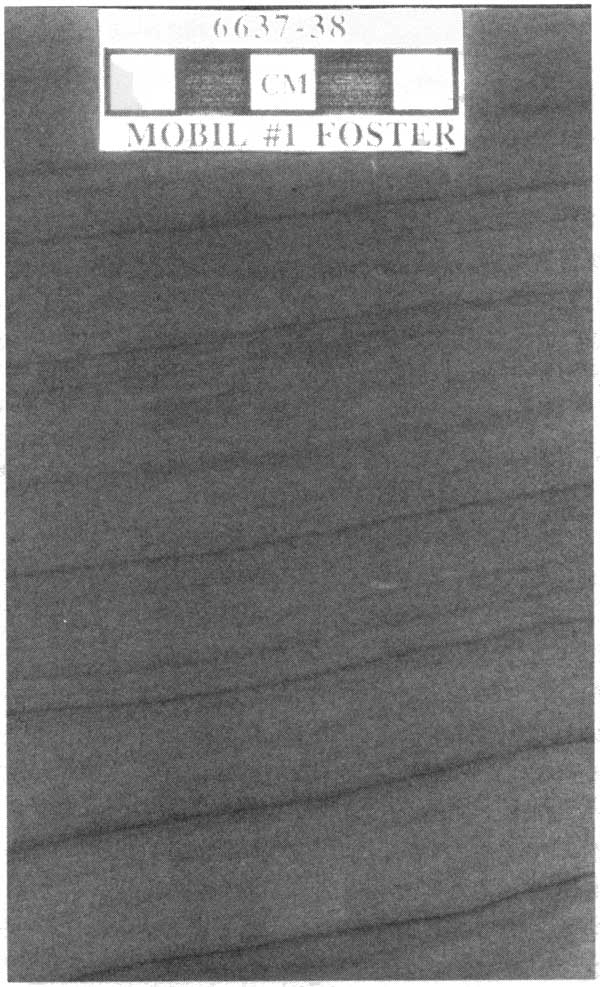 Black and white image of core.