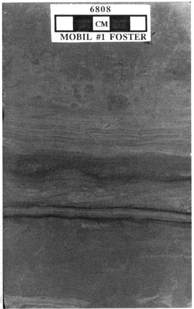 Black and white image of core.