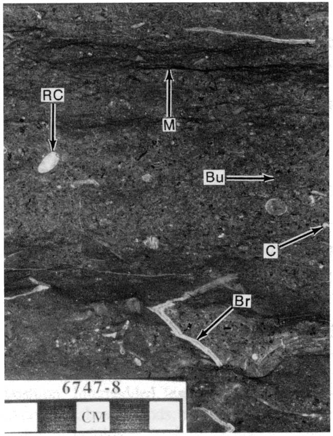 Black and white image of core.