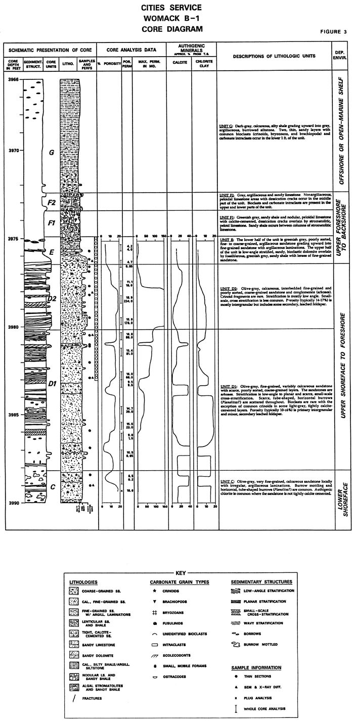 Core descriptions, core analysis data, minerals found, and lithology for Cities Service Womack B-1.