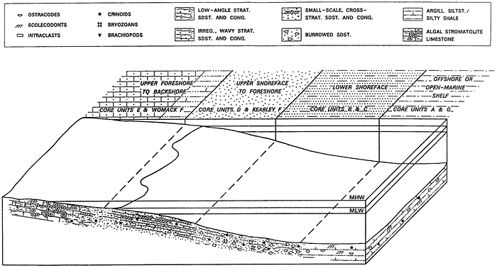 Block diagram showing paleoenvironmental conditions in area of two cores.