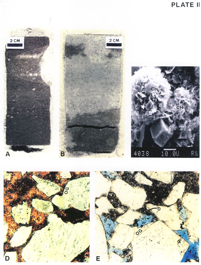 Two color photos of core, a black and white photomicrograph, and two color thin-section photos.