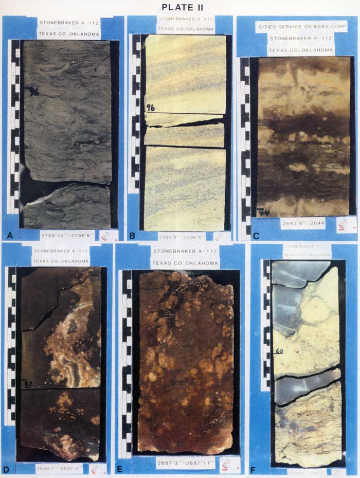 Color photo of 6 core samples.