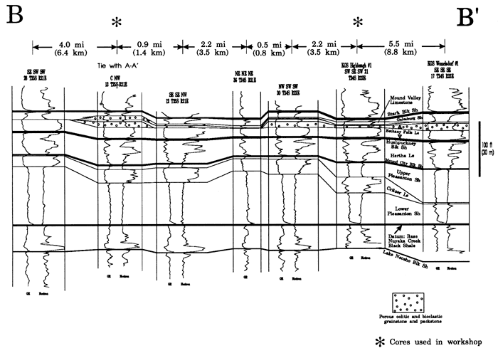 Cross section from well logs, northeast Allen County to northwest Bourbon County.