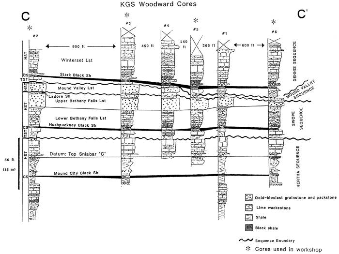 Cross section from well logs, northwest Bourbon Co.