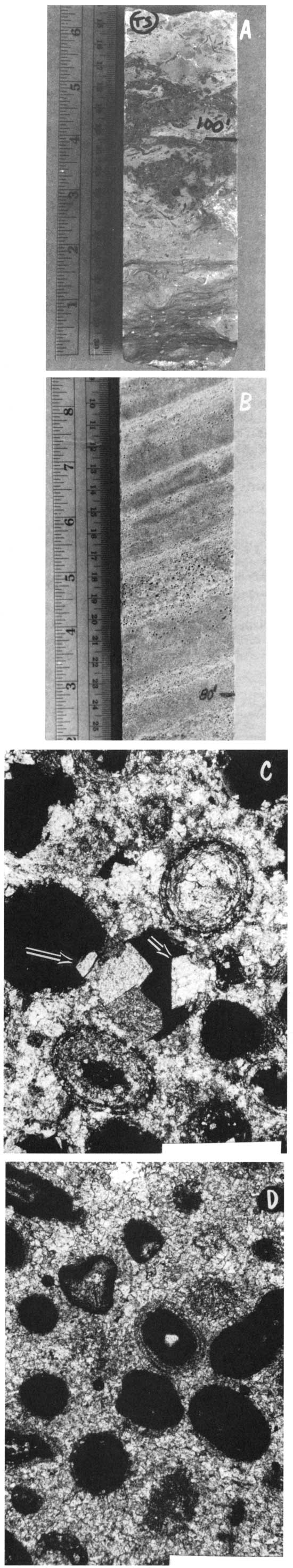 Four black and white photos; top two are core slabs and bottom two are thin sections.