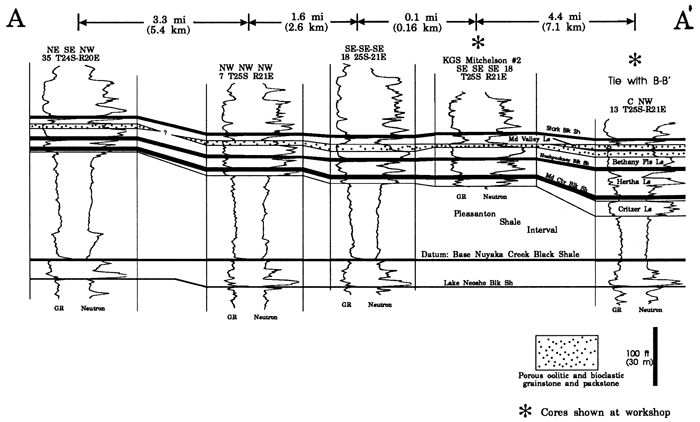 Cross section from well logs, northeast Allen County.