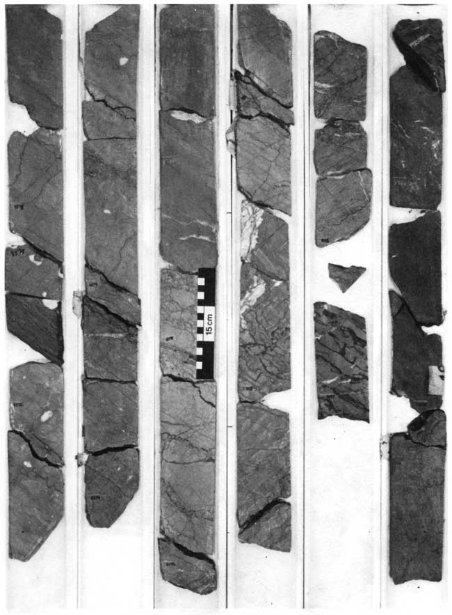 Black and white photo of core.