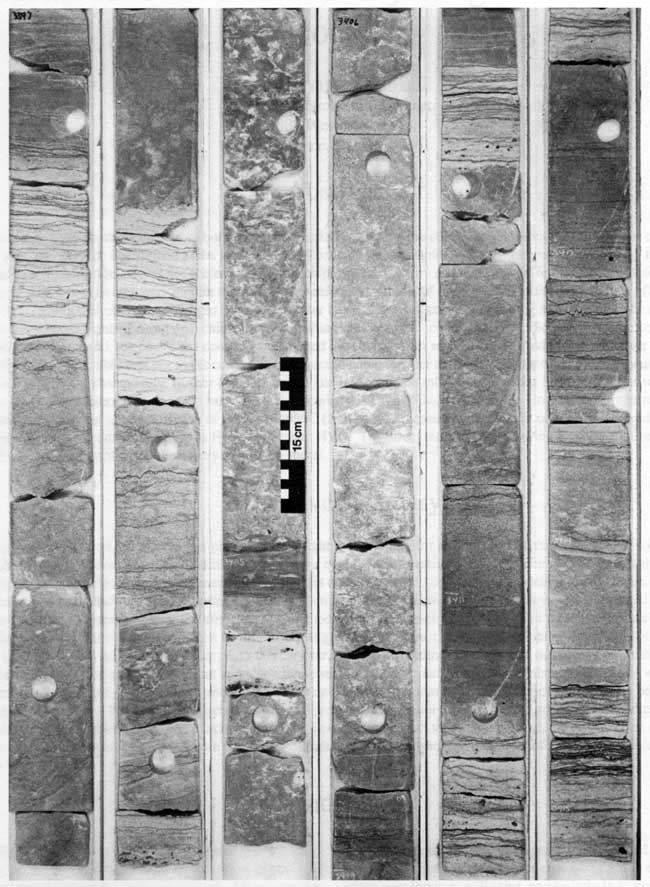 Black and white photo of core.