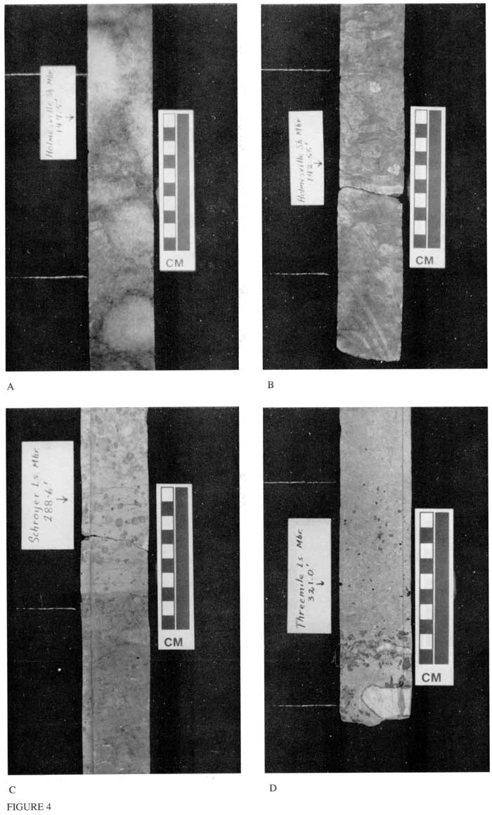 Black and white photos of four sections of core.