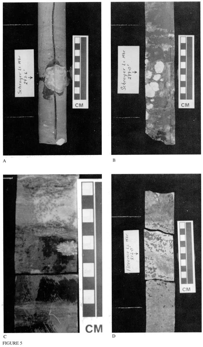 Black and white photos of four sections of core.
