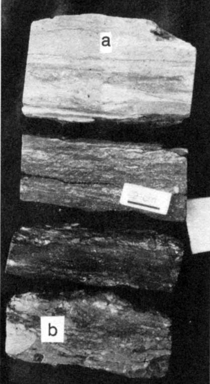 Black and white photo of core slab.