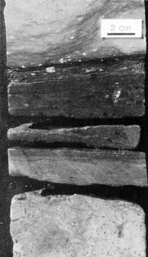 Black and white photo of core slab.