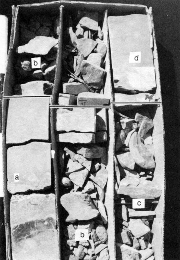 Black and white photo of several pieces of core in box.