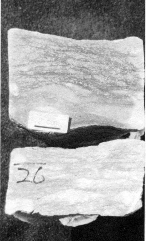 Black and white photo of core slab.