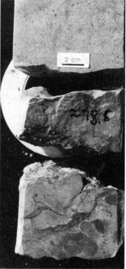 Black and white photo of core slab.