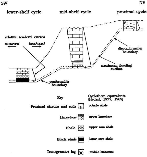 Terminology compared for lower-shelf cycle, mid-shelf cycle, and proximal cycle.