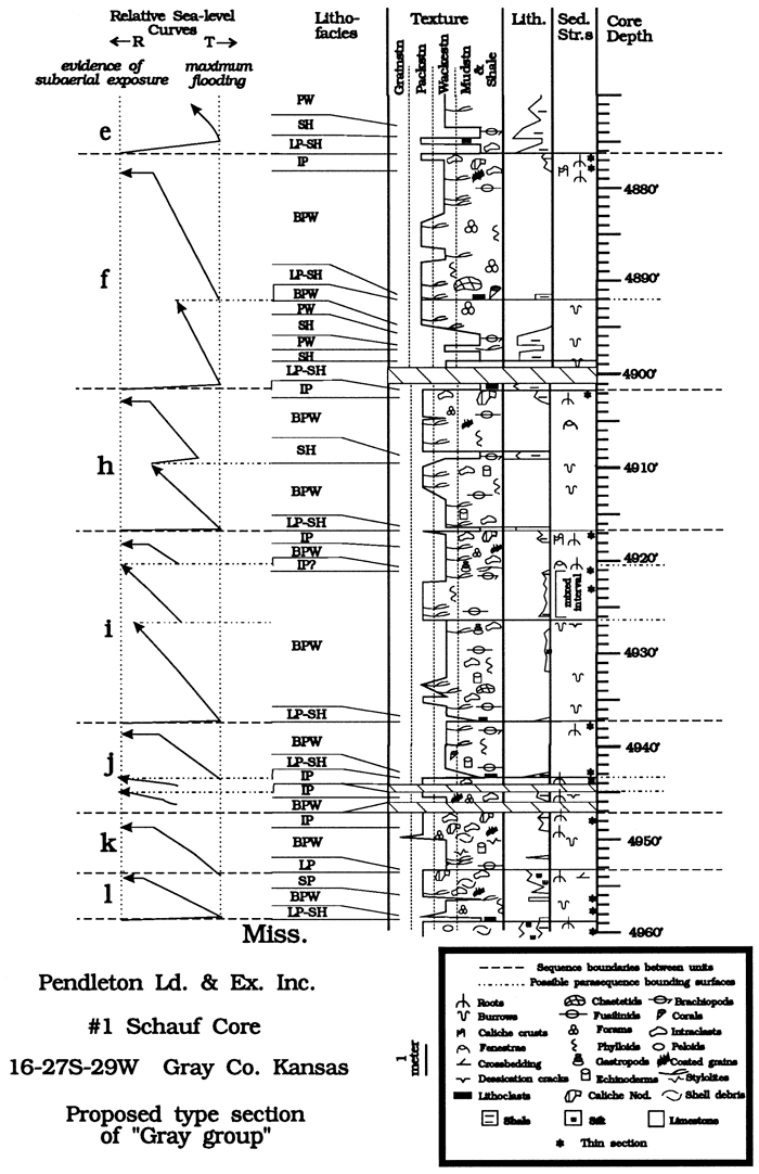 Core description and relative sea-level curves for Schauf 1 well.