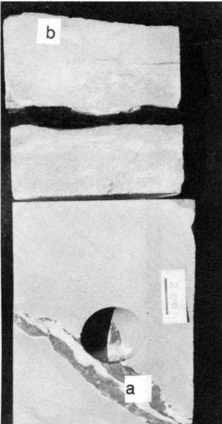 Black and white photo of core slab.