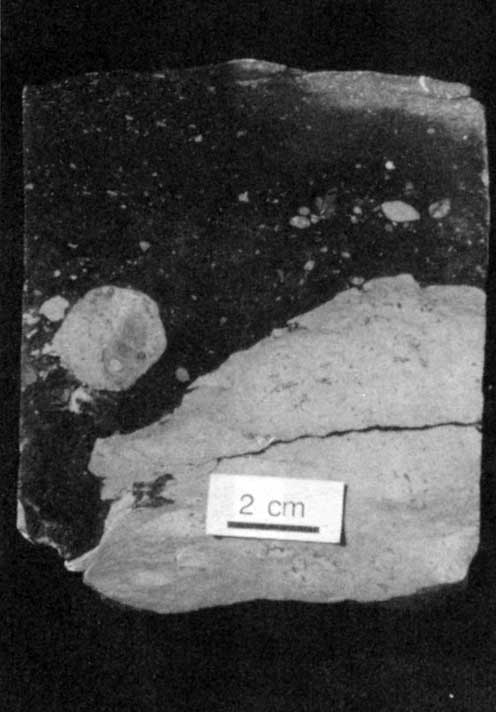 Black and white photo of core slab.