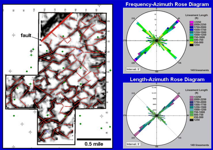 Rose diagrams of the interpreted lineaments show that there are two main directions of lineaments--northeast and northwest.