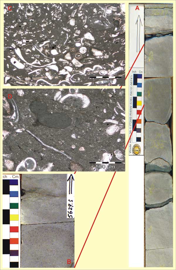 Core in box; core slab; core closeup