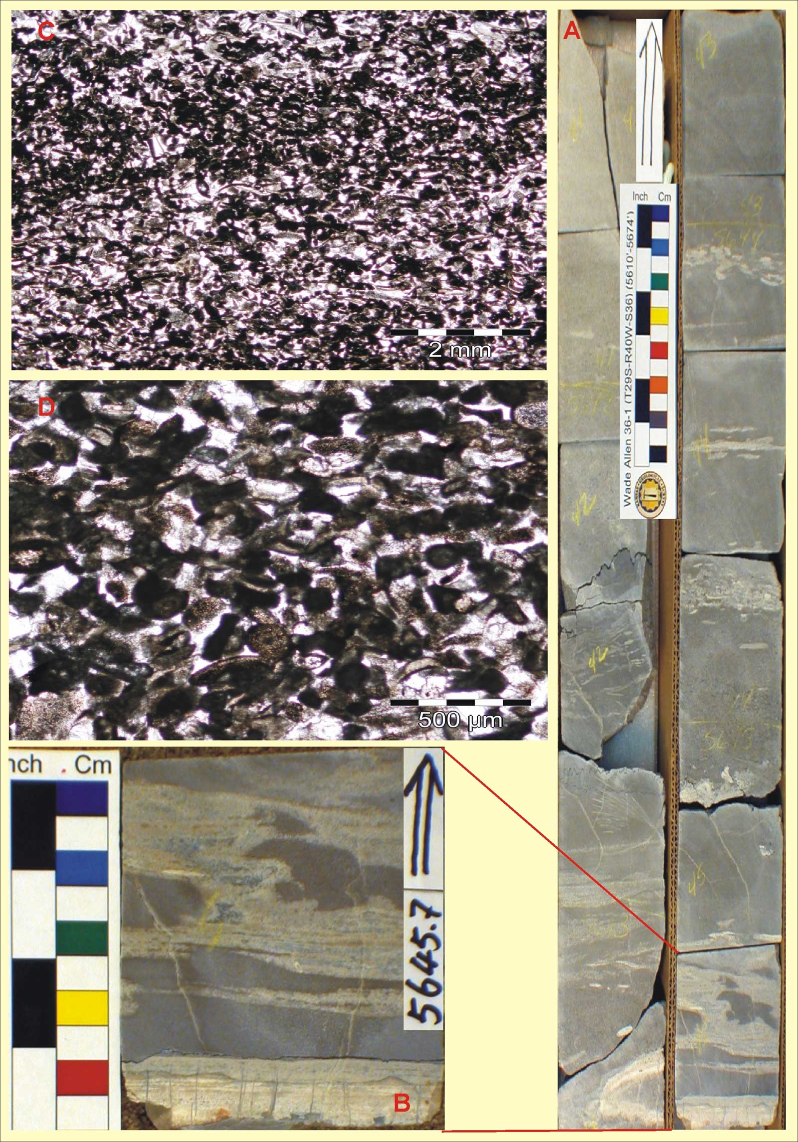 Core in box; core slab; core closeup