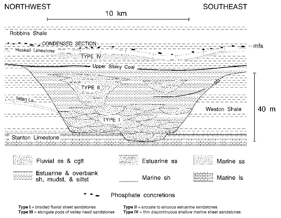 Cross section through paleovalley showing fluvial, estuarine, and marine ss.