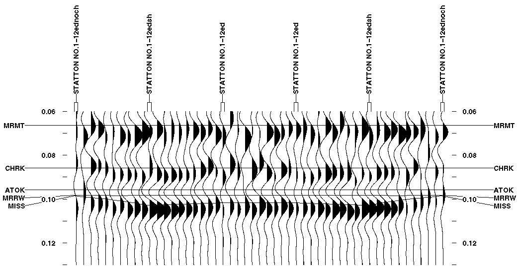 black and white seismic plot