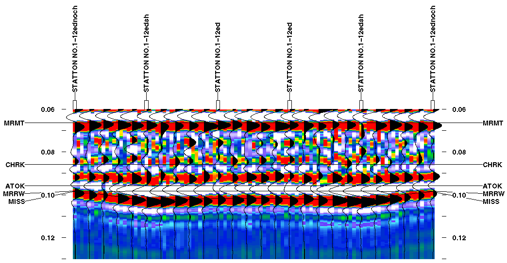 black and white colored seismic plot