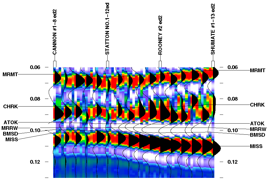 black and white colored seismic plot