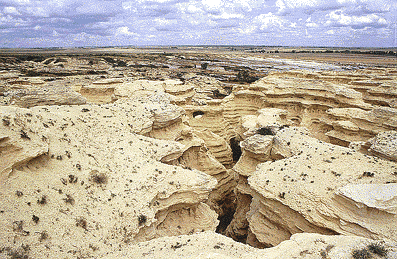 Wildcat Canyon