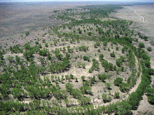 Photo from kite; dry country around river, dotted with trees.